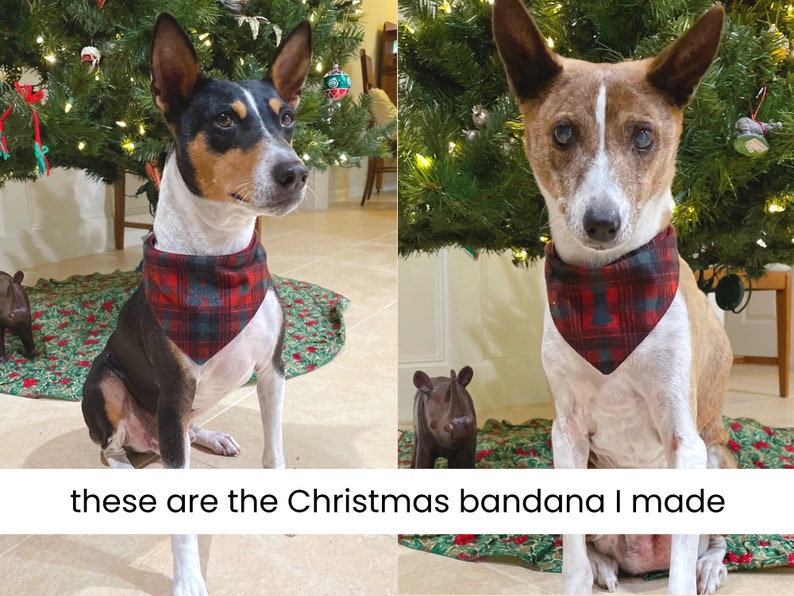 Op de afbeelding: Twee honden dragen rode en zwarte geruite kerstbandanas. De honden zitten voor een kerstboom.