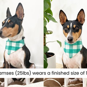 Op de afbeelding: Een zwart, bruin en witte hond met een groen en wit geruit bandana. De hond zit op een bruin oppervlak. "Ramses (25lbs) draagt een afgewerkte maat van 14"