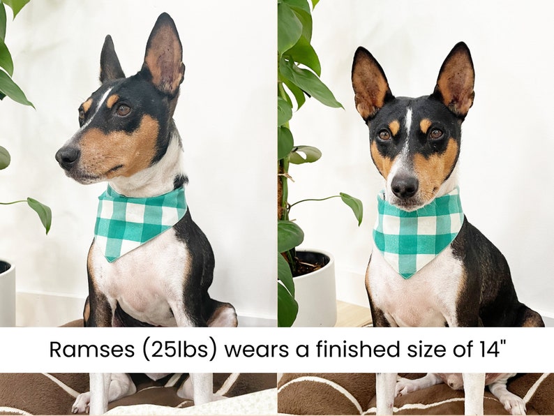 Dog Bandana Reversible Snap Closure Easy PDF Sewing Pattern Etsy