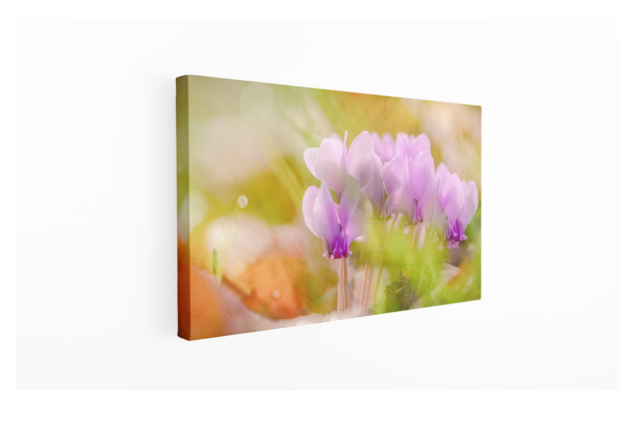 Canvas Décoration Murale sur Toile Poster Art Floral Cyclamen Fine Photographie Grande Taille