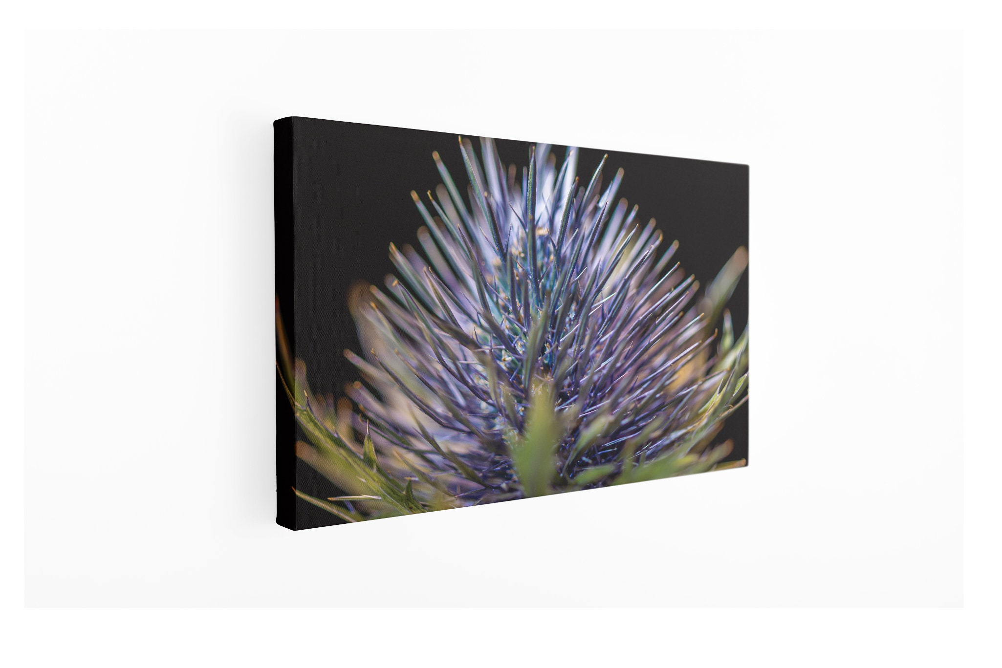 Canvas Wall Art Extra Large Décoration Murale sur Toile Chardon Bleu Floral Fine Photographie Grande