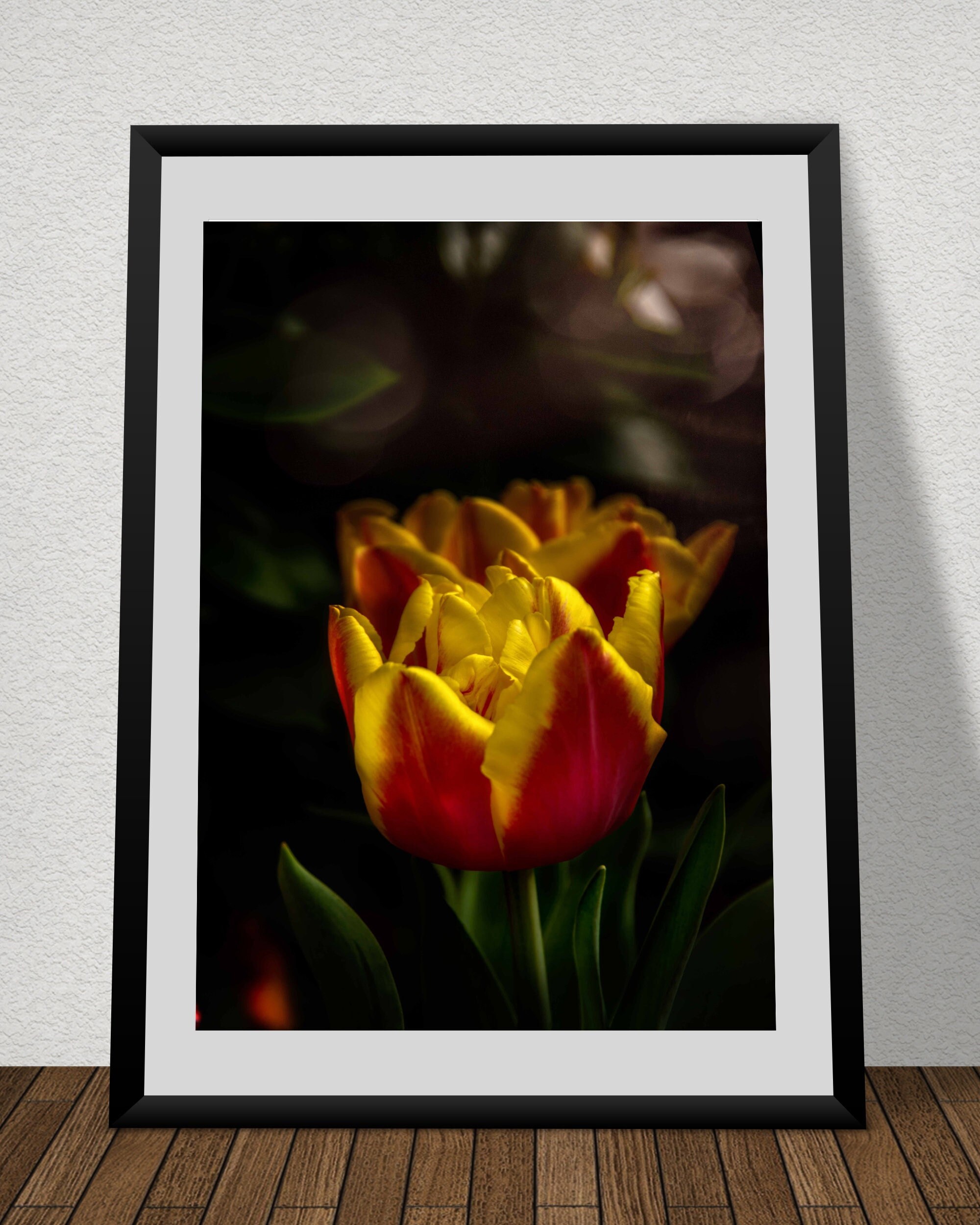 Poster St Valentin Tulipe Canvas Extra Large Décoration Murale sur Toile Art Floral Fine Photographi
