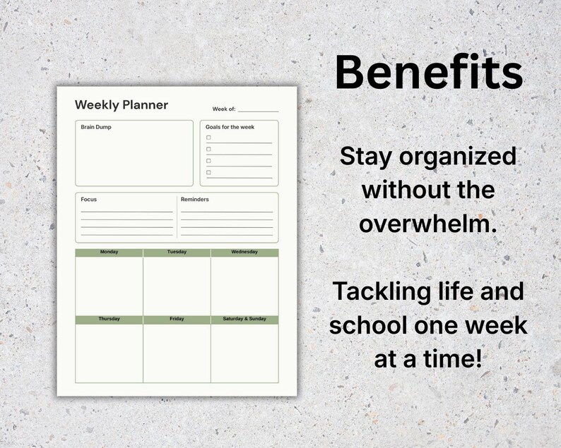 Busy Minds Weekly Planner Printable | Undated Weekly Reset Planner ...