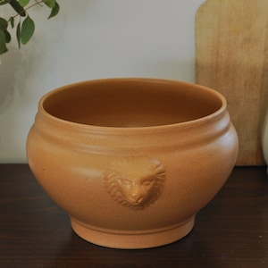 Puede incluir: Una maceta de terracota con un diseño de cabeza de león. La maceta es redonda y tiene una abertura ancha. Está sentada sobre una superficie de madera.