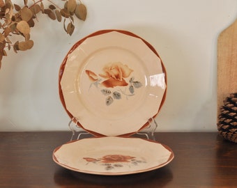 9” Digoin Sarreguemines French Vintage Ironstone Flat Plate, Rose motif pink dinner plates