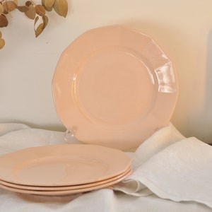 9” Digoin Sarreguemines French Vintage Pink Ironstone Flat Plate