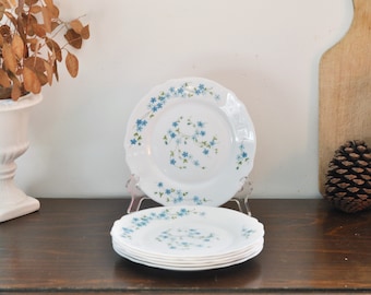 Vintage Arcopal Dessert Plates: Set of 6 Veronica Forget-Me-Not Dishes