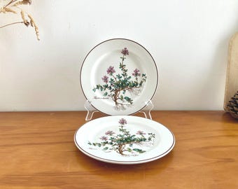 French Vintage Porcelain Dessert Plate, Villeroy & Boch Botanica Collection