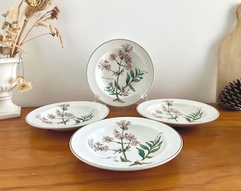 Set of 4 French Vintage Porcelain Hollow Plates, Villeroy & Boch Botanica Collection