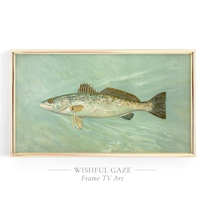 May include: A vintage illustration of a speckled trout fish swimming in a turquoise blue water. The fish is facing right and has a light brown body with dark spots. The image is framed in a gold frame with the text "WISHFUL GAZE" and "Frame TV Art" below the image.