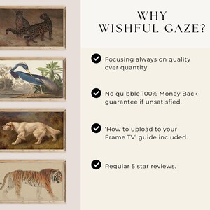 Może przedstawiać: Cztery oprawione ilustracje zwierząt, w tym tygrysa, ptaka, psa i dw&oacute;ch lampart&oacute;w. Tekst "WHY WISHFUL GAZE?" jest wyświetlany po prawej stronie obrazu. Pod tekstem znajdują się cztery znaczniki wyboru z tekstem opisującym korzyści z zakupu w tym sklepie.