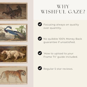 May include: Four framed illustrations of animals, including a tiger, a bird, a dog, and two leopards. The text "WHY WISHFUL GAZE?" is displayed on the right side of the image. Below the text are four check marks with text describing the benefits of purchasing from this shop.