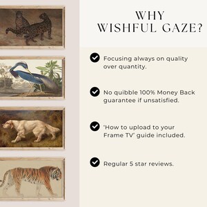 May include: Four framed vintage-style animal prints: leopards, a heron, a dog, and a tiger. The prints are displayed with the text "WHY WISHFUL GAZE?" and bullet points about quality, guarantee, and reviews.