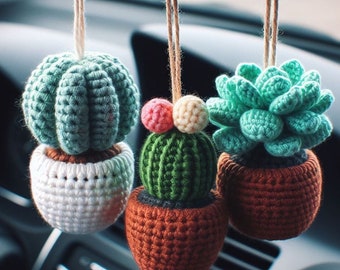 Car Hanging Plant Crochet Pattern Set of 3, Crochet Plants Pattern, Crochet Hanging Cactus Succulent. Hanging Basket Crochet