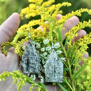 Authentic Birch Bark Earrings image 2