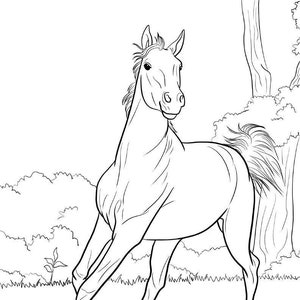 Adult Coloring page (Instant Download), 5 Beautiful Horses, printable