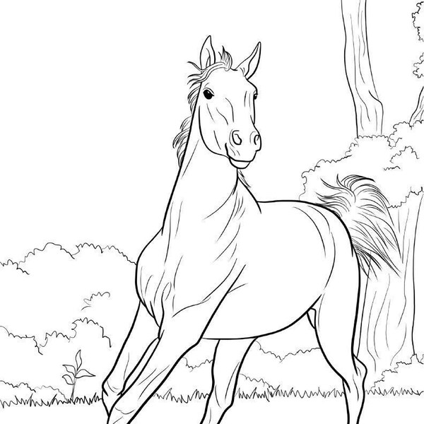 PRINTABLE Set of 10 Horse Breed Coloring Pages Digital Download - Etsy ...