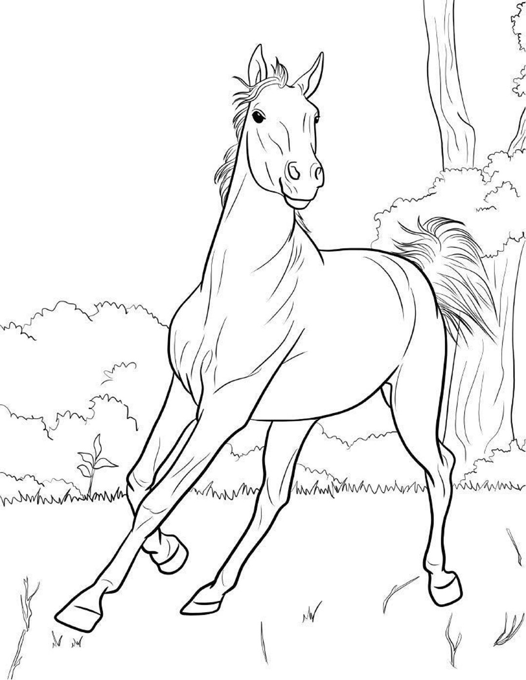 Adult Coloring Page (instant Download), 5 Beautiful Horses, Printable ...