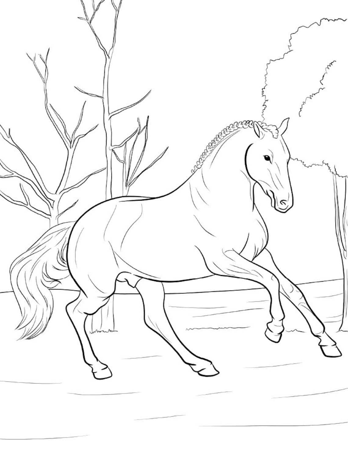 Adult Coloring page Instant Download 5 Beautiful Horses | Etsy