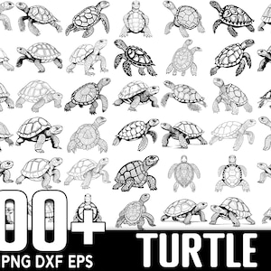 100+ Schildkröte SVG Bundle, sofortiger digitaler Download, PNG, SVG-Schnittdateien