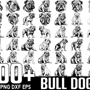 100+ Bull Dog SVG Bundle, sofortiger digitaler Download, PNG, SVG geschnittene Dateien