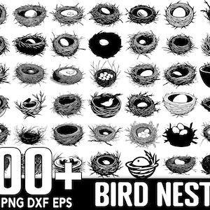 Mais de 100 pacotes SVG Bird Nest, download digital instantâneo, arquivos PNG, SVG cortados