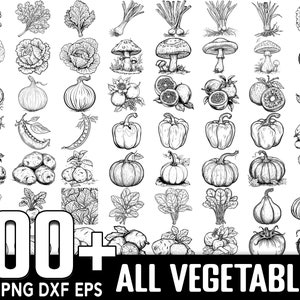Plantaardige SVG-bundel, Instant Digitale Download, PNG, SVG Cut-bestanden