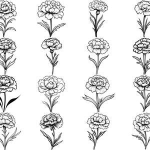 100+ Carnation Flower SVG Bundle, Instant Digital Download, PNG, SVG ...