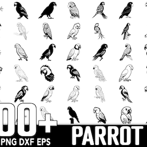 100+ Parrot SVG Bundle, Instant Digital Download, PNG, SVG Cut Files