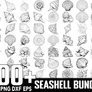 May include: A collection of 100+ black and white illustrations of seashells in various shapes and sizes. The illustrations are perfect for crafting, scrapbooking, and other creative projects. SVG PNG DXF EPS.