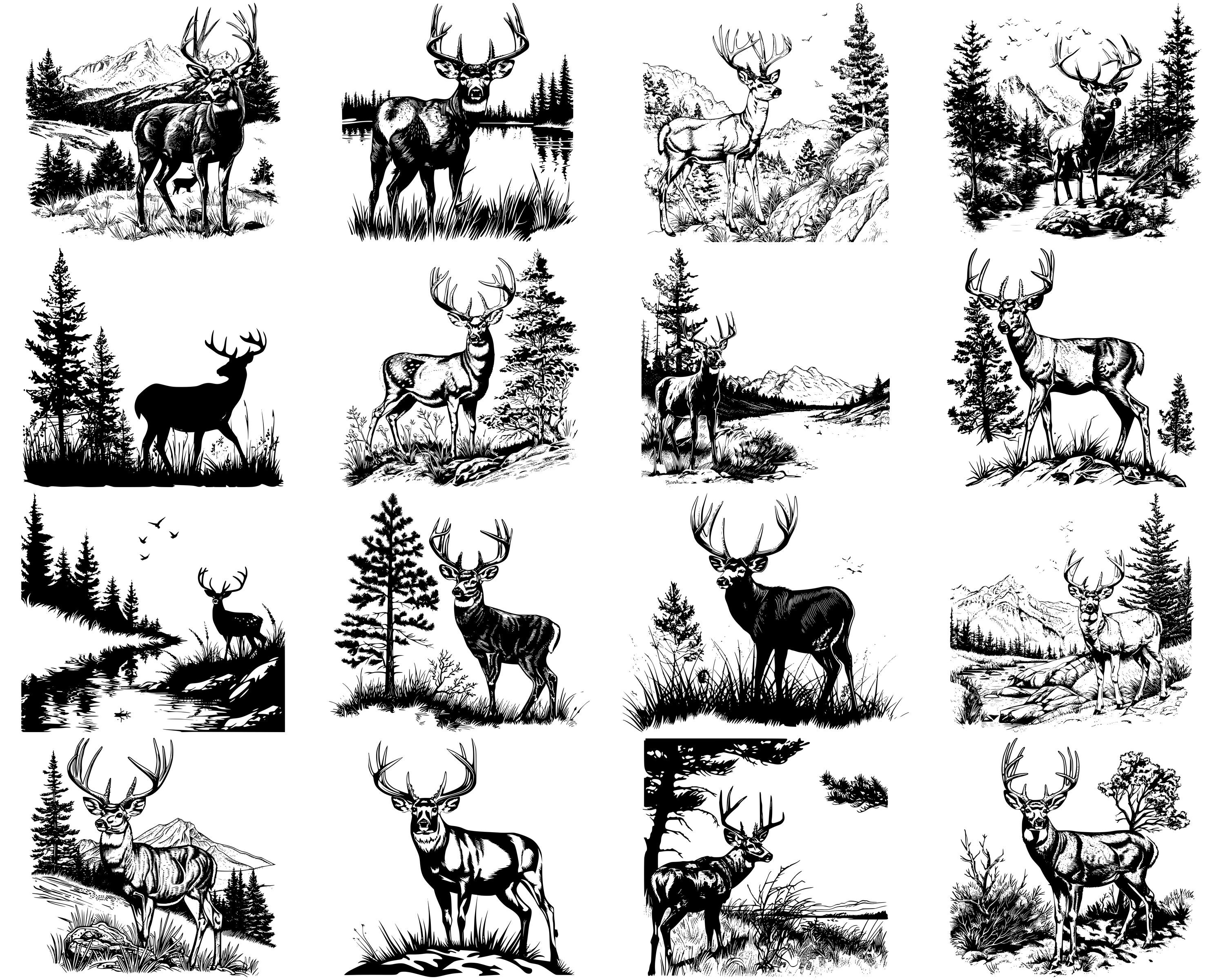 100+ Mule Deer SVG Bundle, Instant Digital Download, PNG, SVG Cut Files ...