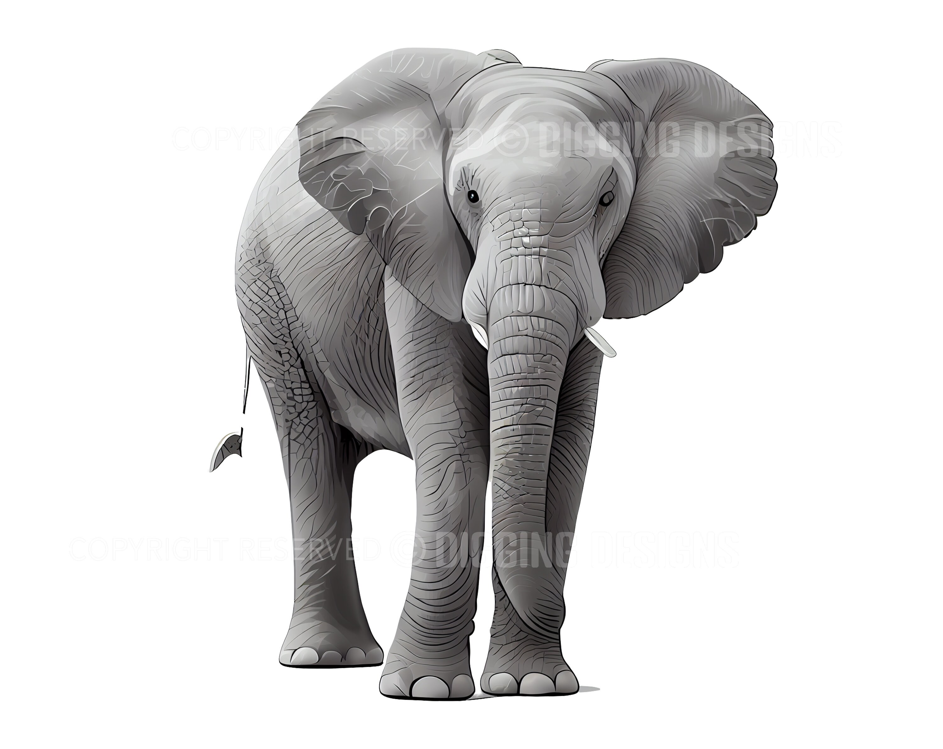 Set of 21 Elephant Realistic Clipart Animal Clip Art - Etsy