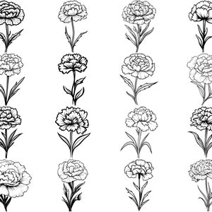 100+ Carnation Flower SVG Bundle, Instant Digital Download, PNG, SVG ...