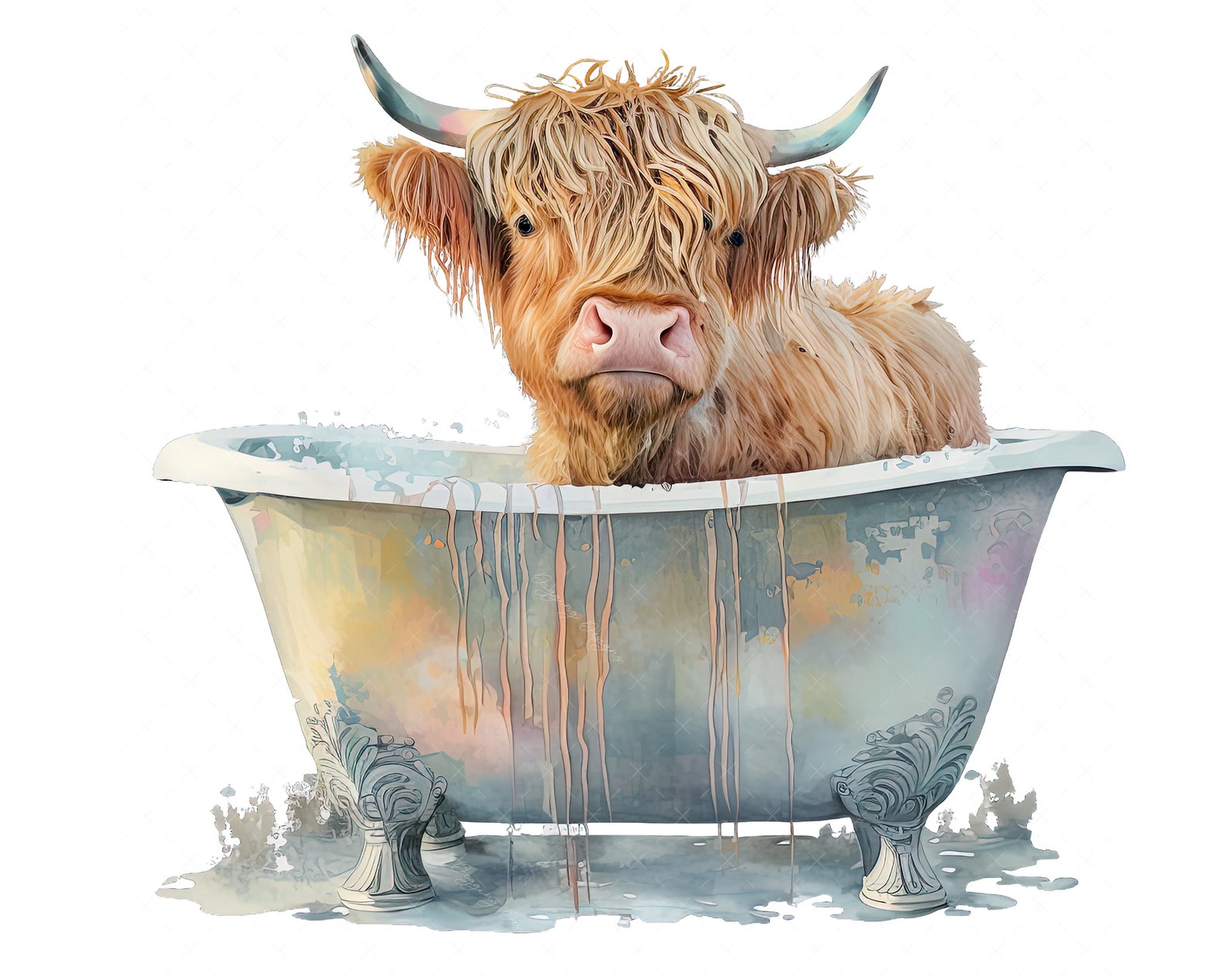 Highland Cow in Bathtub High Quality Highland Cow Png Bundle - Etsy