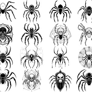 100+ Spider SVG Bundle, Instant Digital Download, PNG, SVG Cut Files