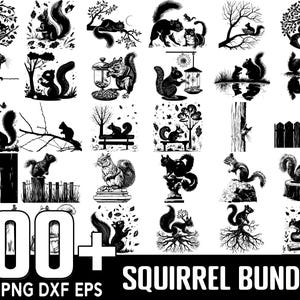 Squirrel SVG Bundle,Instant Digital Download, PNG, SVG Cut Files