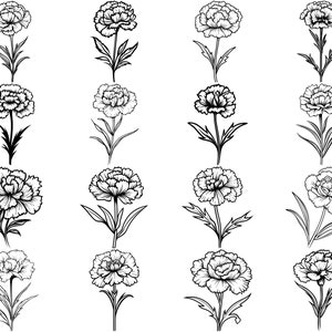 100+ Carnation Flower SVG Bundle, Instant Digital Download, PNG, SVG ...
