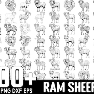 Ram Schaf SVG Bundle, sofortiger digitaler Download, PNG, SVG Schnittdateien