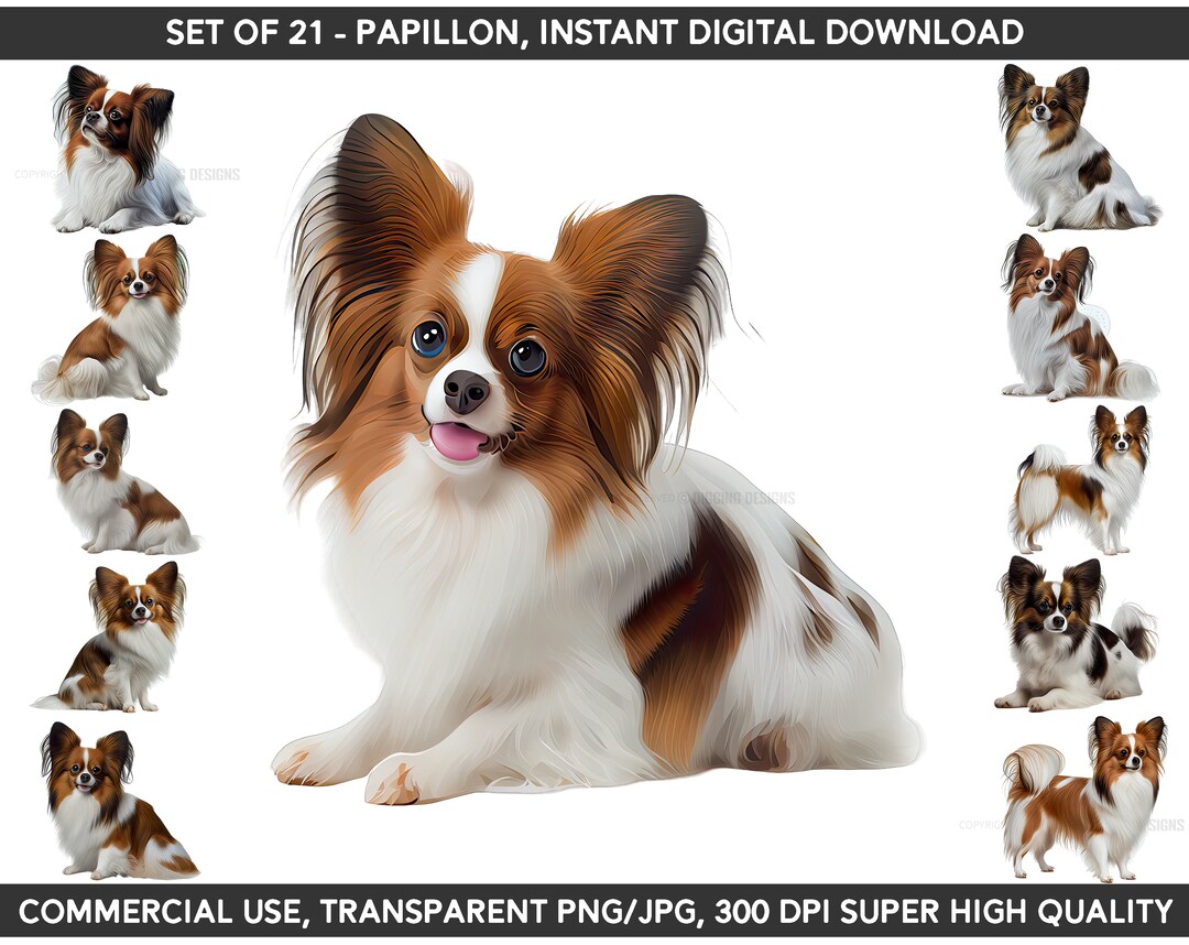 Set of 21 Papillon Dog Clipart Dog PNG Dog Png Premium - Etsy Australia
