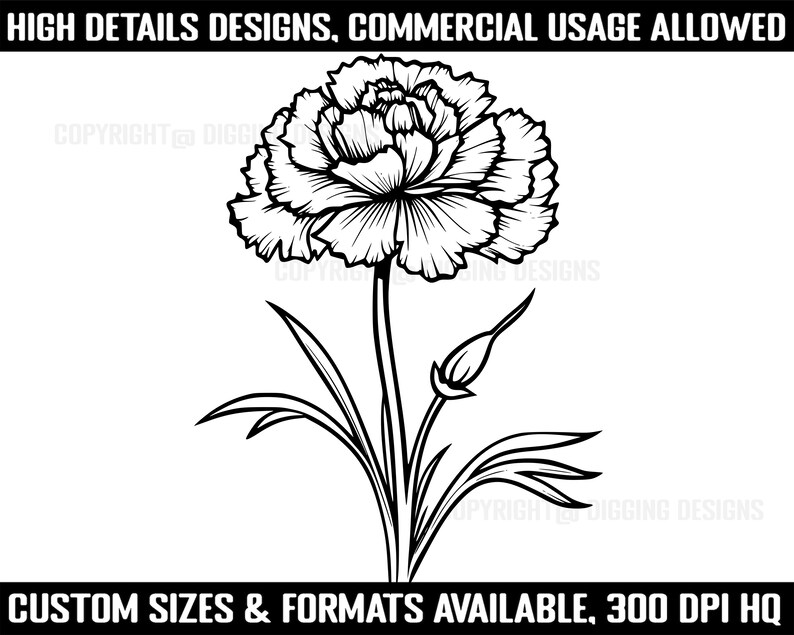 100+ Carnation Flower SVG Bundle, Instant Digital Download, PNG, SVG ...