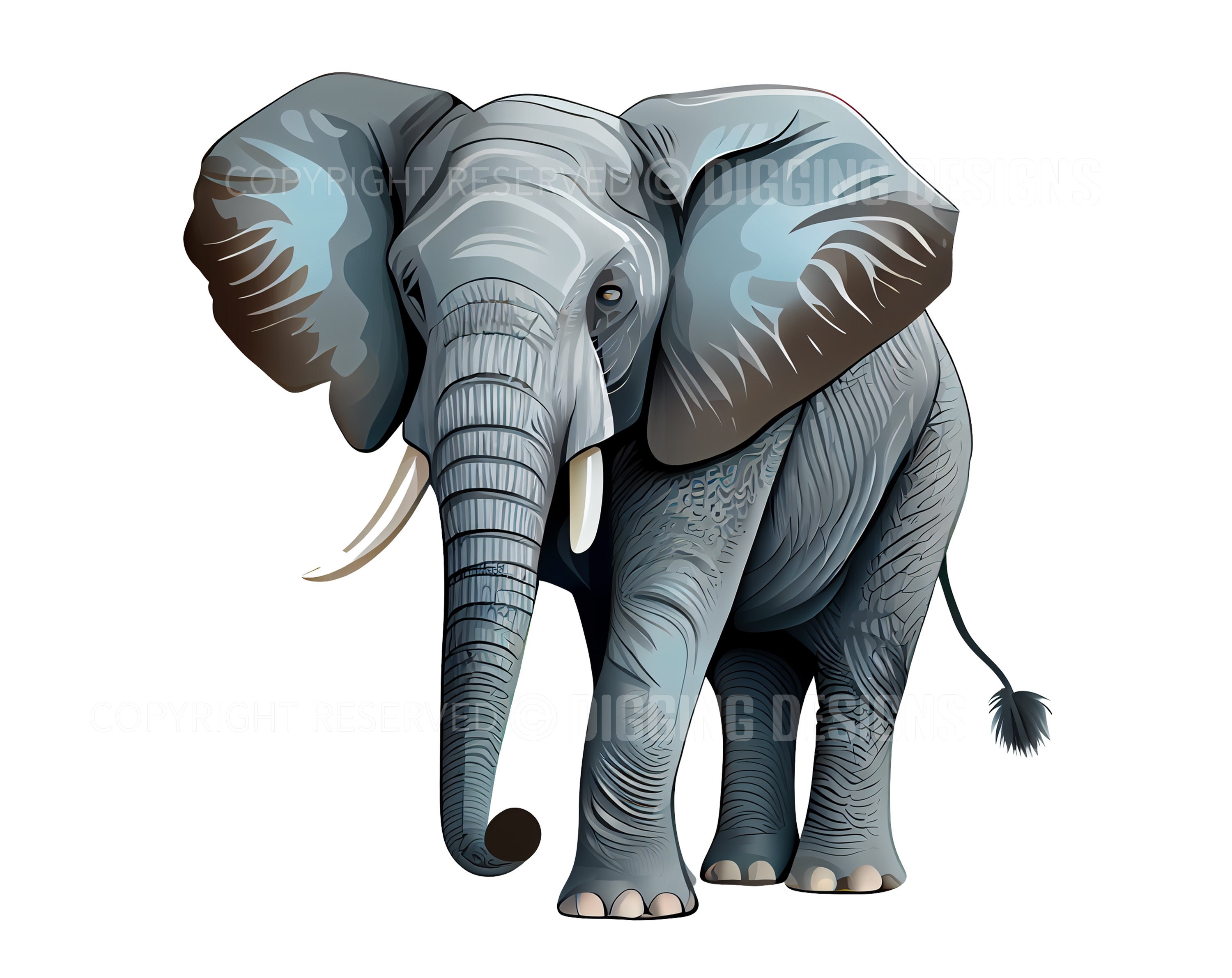 Set of 21 Elephant Realistic Clipart Animal Clip Art - Etsy