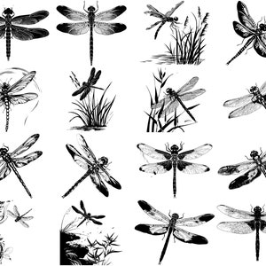 100+ Dragonfly SVG Bundle, Instant Digital Download, PNG, SVG Cut Files ...