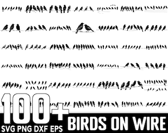 100+ Birds On Wire SVG bundle, Instant Digital Download, PNG, SVG Cut Files