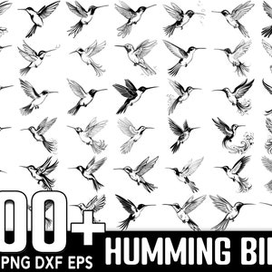Pacchetto SVG di 100 colibrì, download digitale istantaneo, PNG, file di taglio SVG