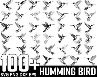 Può includere: Una collezione di oltre 100 illustrazioni di colibrì in bianco e nero. I colibrì sono in varie pose e con diverse posizioni delle ali. Il testo "100+ Hummingbird SVG PNG DXF EPS" è nella parte inferiore dell'immagine.
