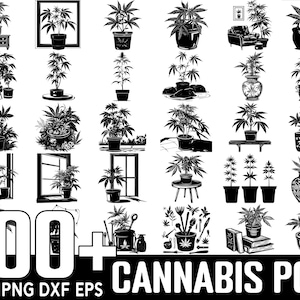 Peut inclure: Une collection de plus de 100 fichiers de découpe SVG de pots de cannabis en noir et blanc. Les images comprennent divers motifs de plantes de cannabis, de pots et d'autres articles connexes.