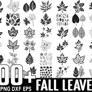 May include: A collection of 100+ black and white fall leaf SVG, PNG, DXF, and EPS files.  These digital files are perfect for crafting, scrapbooking, and other creative projects.