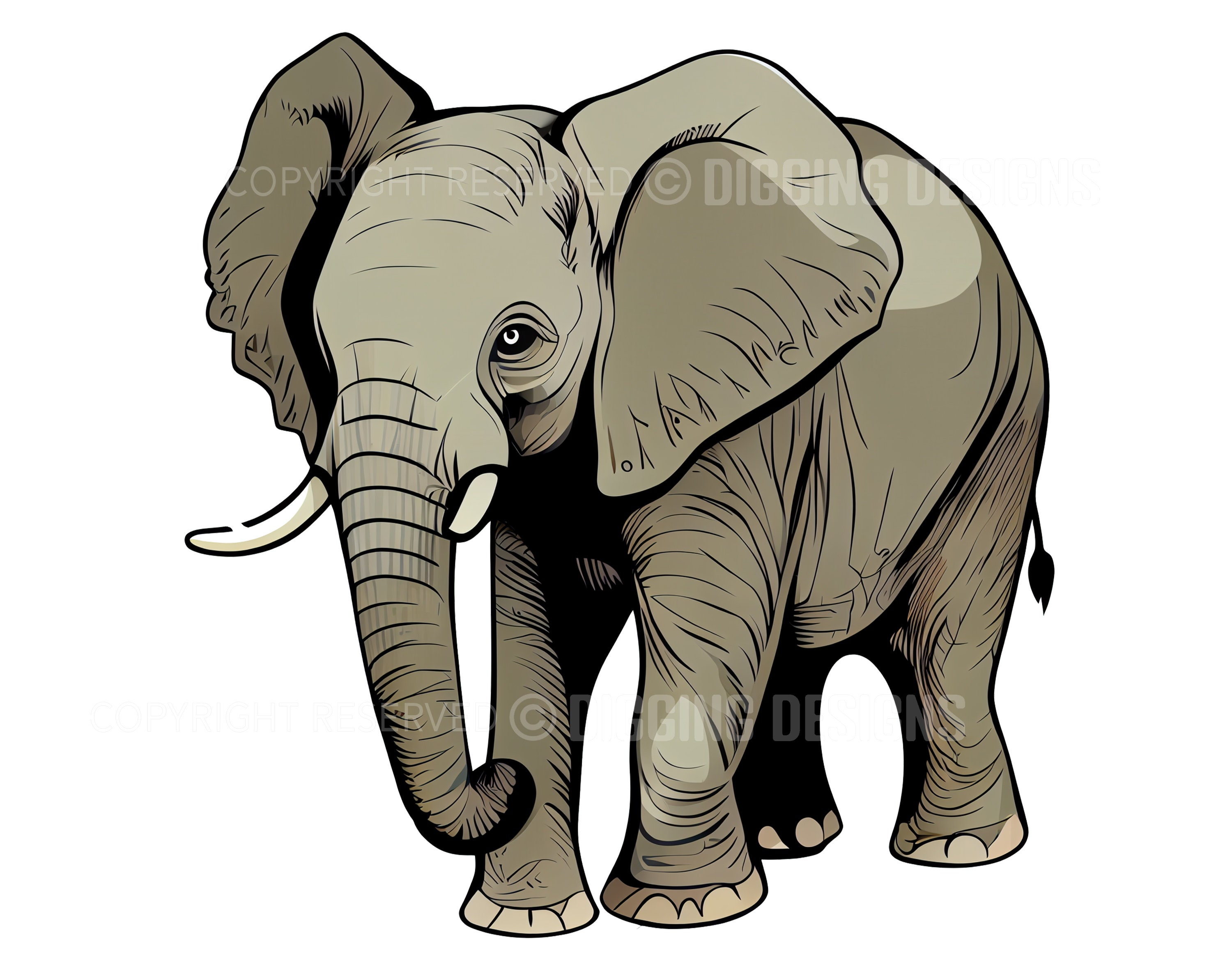 Set of 21 Elephant Realistic Clipart Animal Clip Art - Etsy