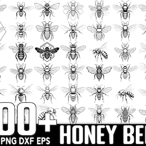 100+ Honey Bee SVG-bundel, Instant Digitale Download, PNG, SVG Cut-bestanden