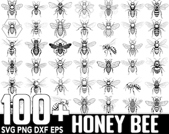 100+ Honey Bee SVG Bundle, Instant Digital Download, PNG, SVG Cut Files